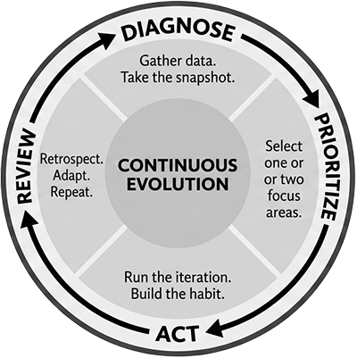 The ACE Cycle
