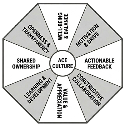 The Original Focus Areas